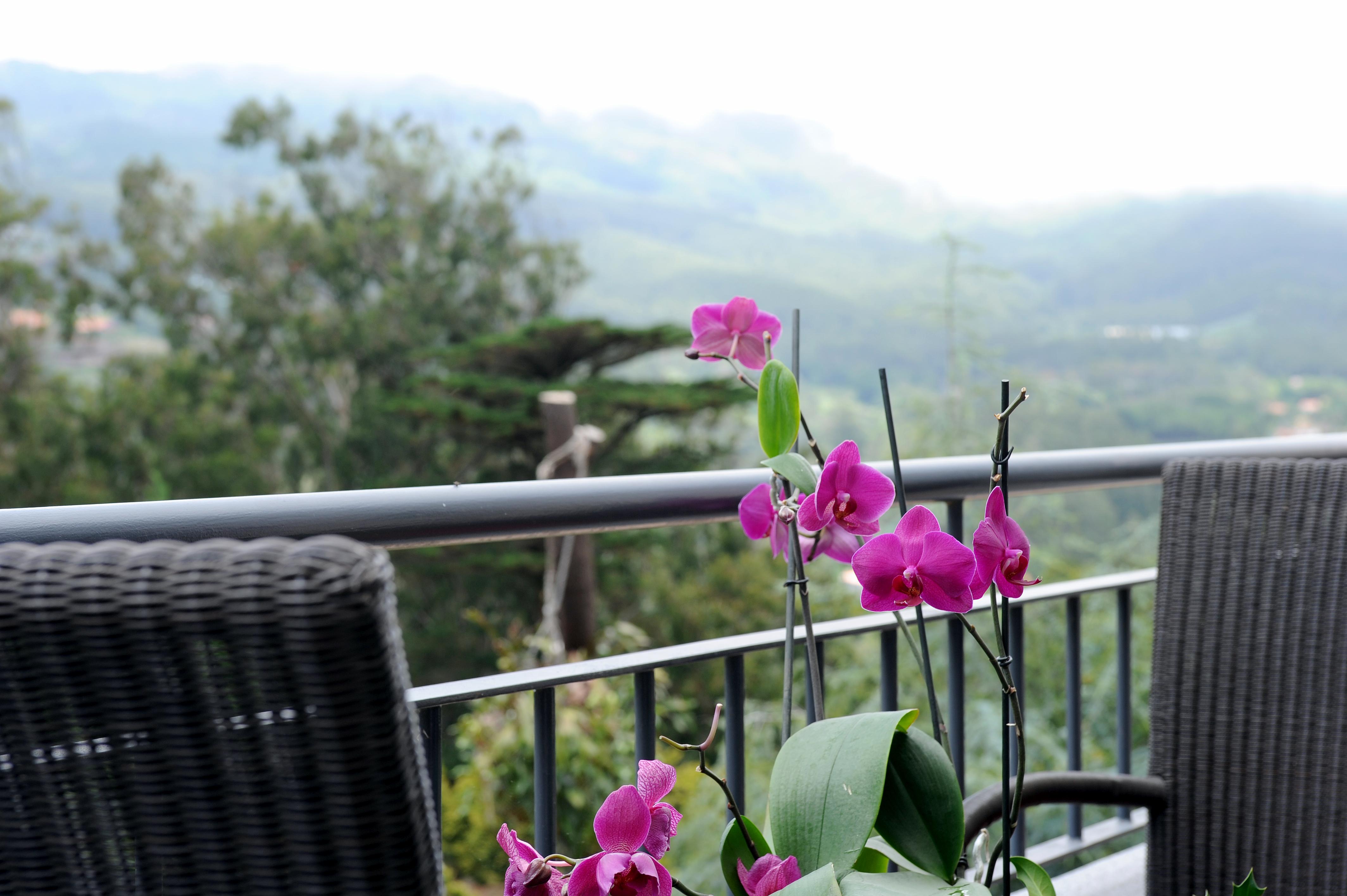 Hotel Quinta Da Cova Do Milho Santo Antonio da Serra Esterno foto
